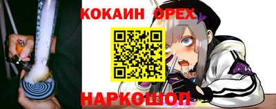 гидра Ковров
